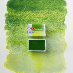https://www.tintadlaplastykow.pl/gfx/photos/offer_69690359/akwarela-biale-noce-777-green-dream_4_1197766552120649.webp