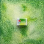 https://www.tintadlaplastykow.pl/gfx/photos/offer_69690359/akwarela-biale-noce-777-green-dream_5_1248933944120652.webp