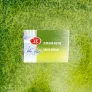 Akwarela Białe Noce White Nights Metamorphoses Watercolor 777 Green Dream