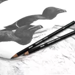https://www.tintadlaplastykow.pl/gfx/photos/offer_82412/oloacutewek-derwent-onyx-medium-2300037_2_125123461131830.webp