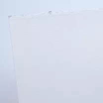 Papier Do Akwaforty Canson Edition 320 gsm 76 x 112 cm Extra White 200071502