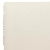 Papier Graficzny Fabriano Rosaspina Ivory 220 gsm 100 x 70 cm 00011038